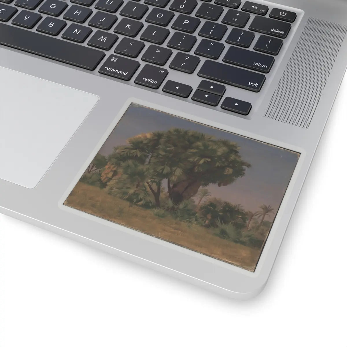 SKU:TSS-STICK-JNLN-4X4-1N1RP Sizes:4" × 4" Types:Transparent