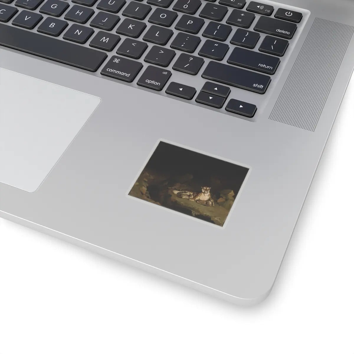 SKU:TSS-STICK-JNLN-2X2-1N1RQ Sizes:2" × 2" Types:Transparent