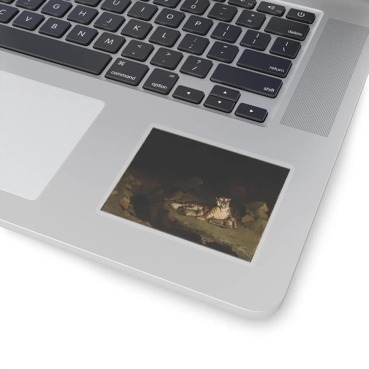 SKU:TSS-STICK-JNLN-3X3-1N1RQ Sizes:3" × 3" Types:Transparent