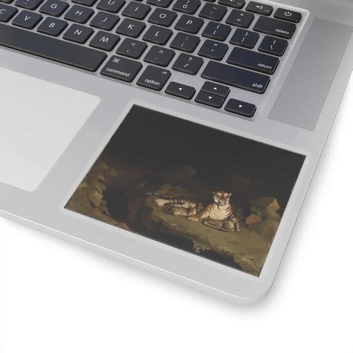 SKU:TSS-STICK-JNLN-4X4-1N1RQ Sizes:4" × 4" Types:Transparent