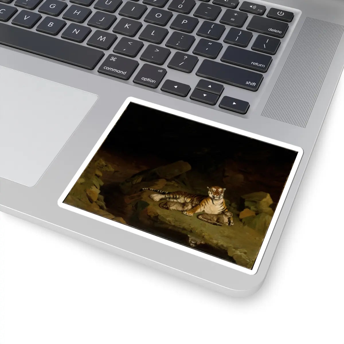 SKU:TSS-STICK-JNLN-4X4-7 Sizes:4" × 4" Types:White