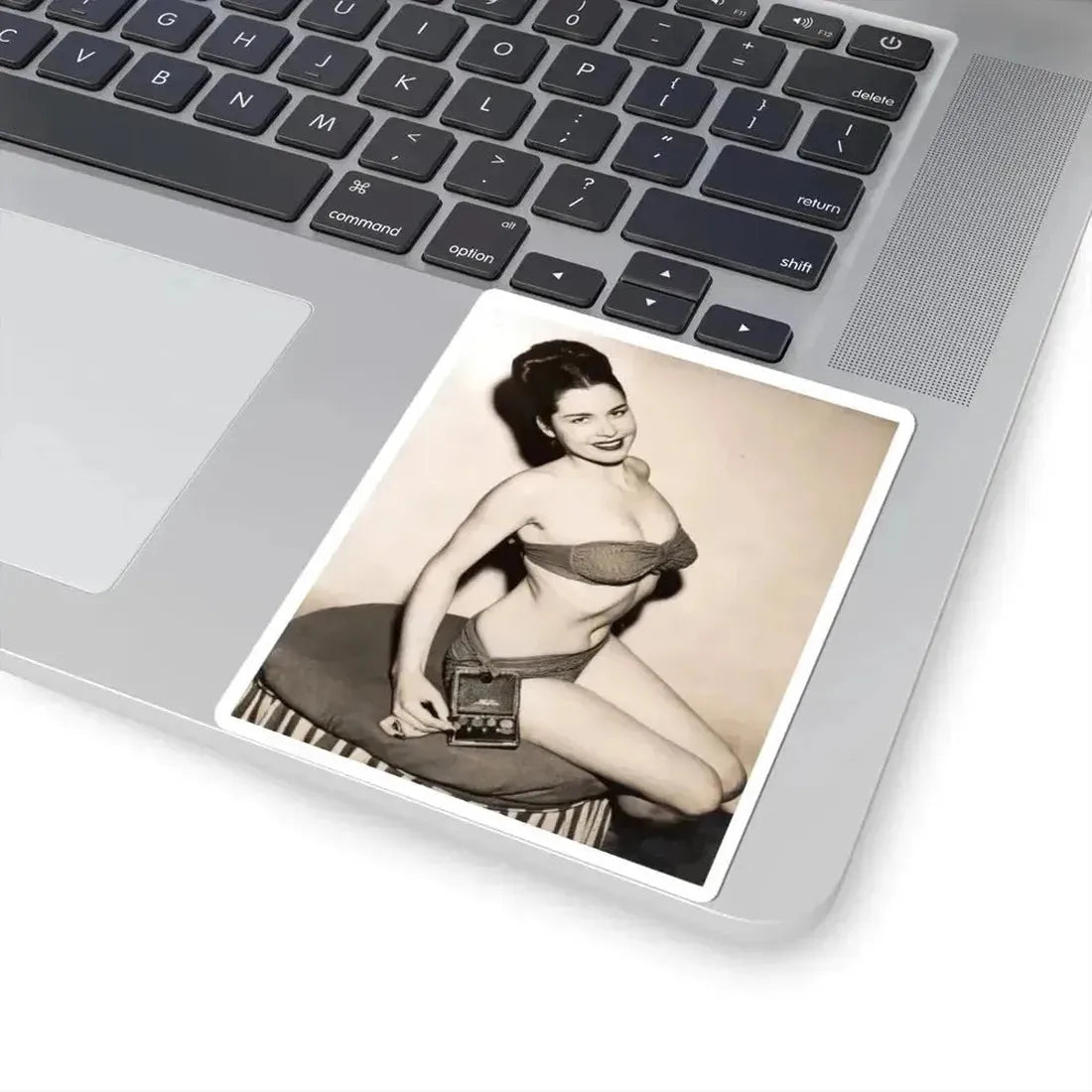 Jeanne Carmen #110 (Vintage Female Icon) STICKER Vinyl Kiss-Cut Decal - The Sticker Space