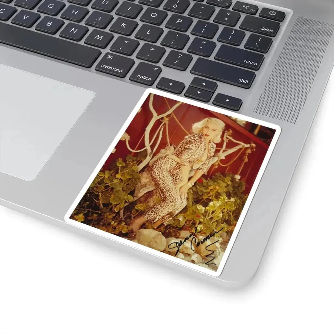 Jeanne Carmen #141 (Vintage Female Icon) STICKER Vinyl Kiss-Cut Decal - The Sticker Space