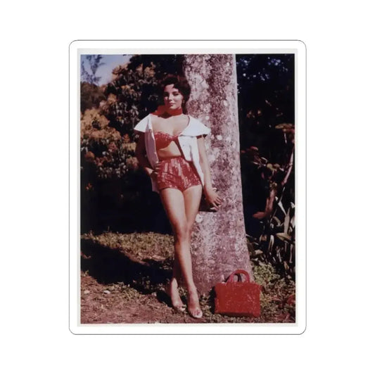Joan Collins #428 (Vintage Female Icon) STICKER Vinyl Kiss-Cut Decal 2 Inch White - The Sticker Space