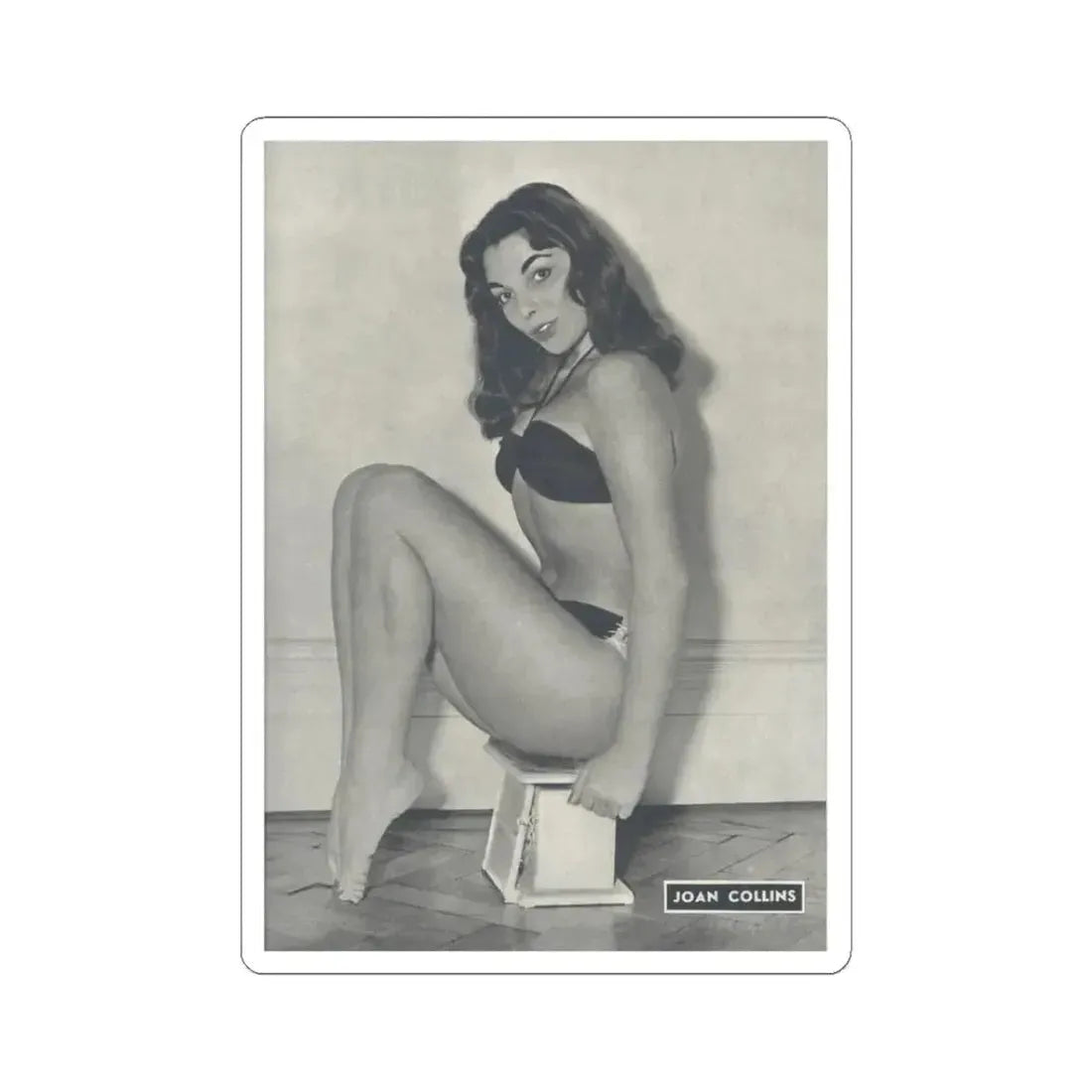 Joan Collins #516 (Vintage Female Icon) STICKER Vinyl Kiss-Cut Decal 3 Inch White - The Sticker Space