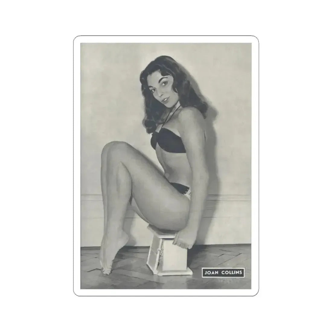 Joan Collins #516 (Vintage Female Icon) STICKER Vinyl Kiss-Cut Decal 4 Inch White - The Sticker Space