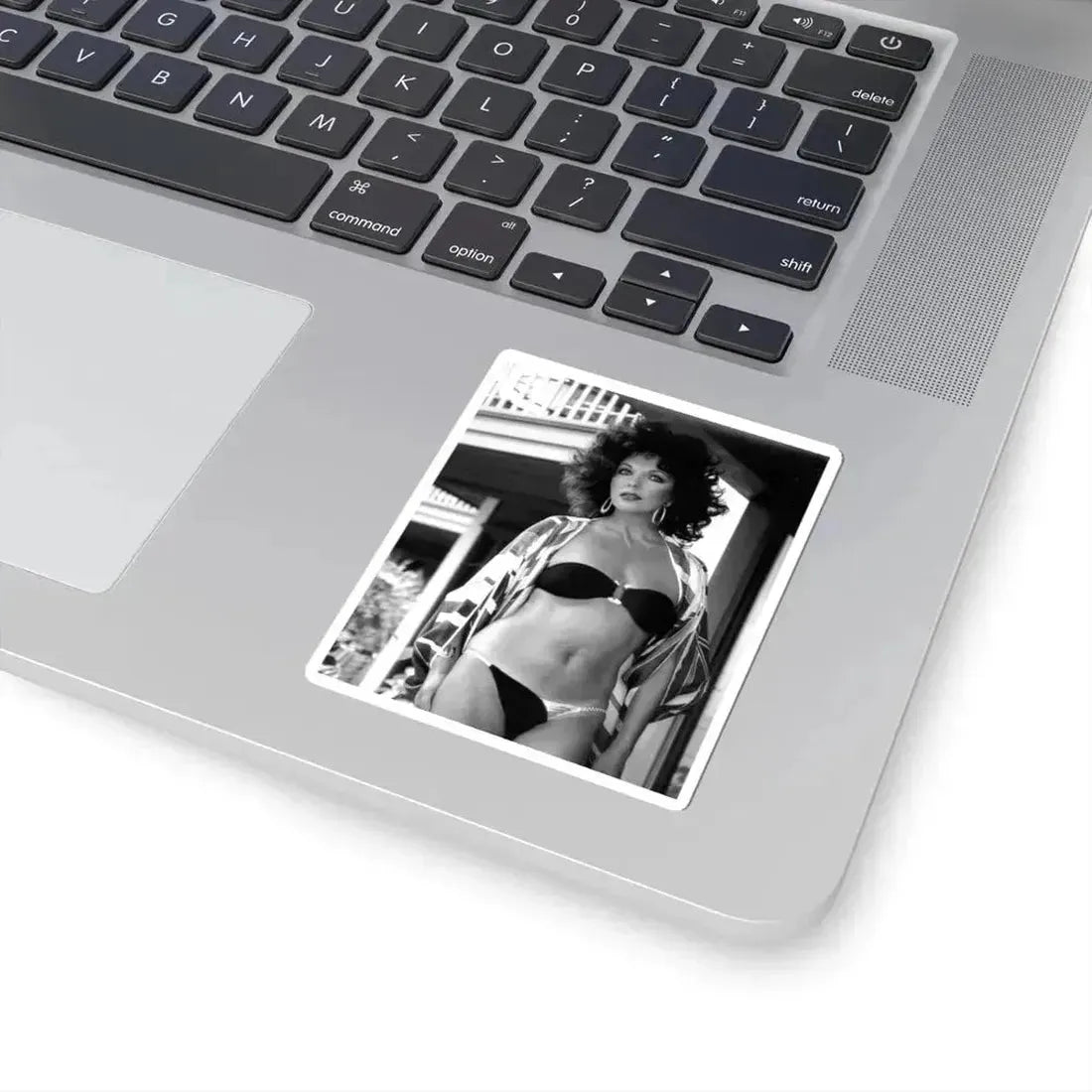Joan Collins #548 (Vintage Female Icon) STICKER Vinyl Kiss-Cut Decal - The Sticker Space