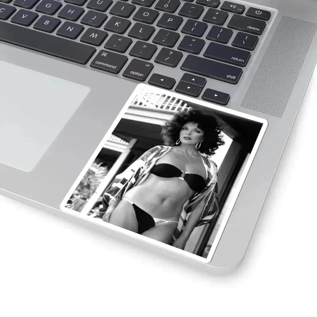 Joan Collins #548 (Vintage Female Icon) STICKER Vinyl Kiss-Cut Decal - The Sticker Space