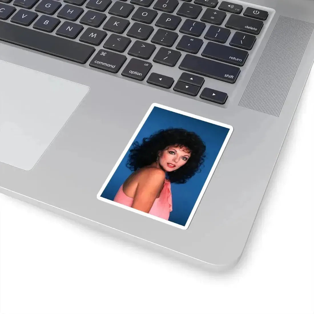 Joan Collins #555 (Vintage Female Icon) STICKER Vinyl Kiss-Cut Decal - The Sticker Space