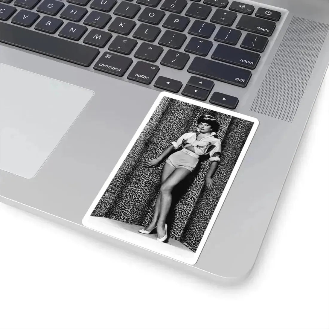 Joan Collins #557 (Vintage Female Icon) STICKER Vinyl Kiss-Cut Decal - The Sticker Space