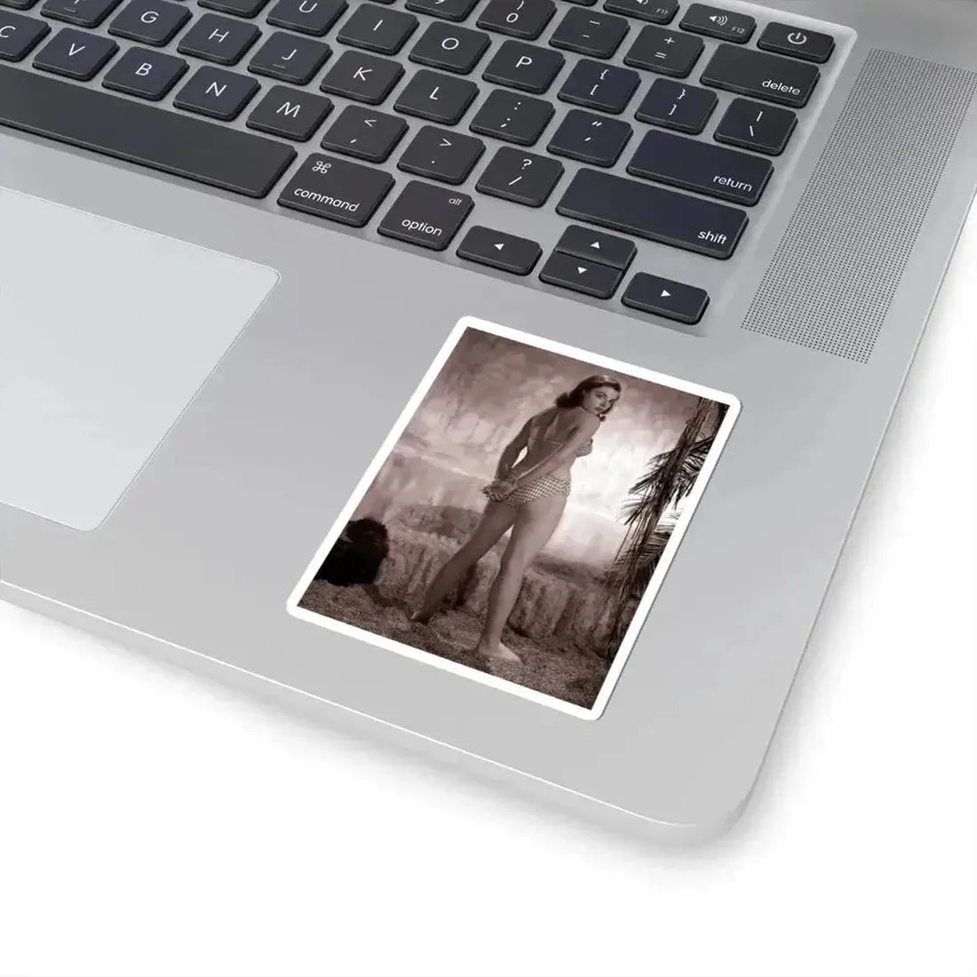 Joan Collins #559 (Vintage Female Icon) STICKER Vinyl Kiss-Cut Decal - The Sticker Space