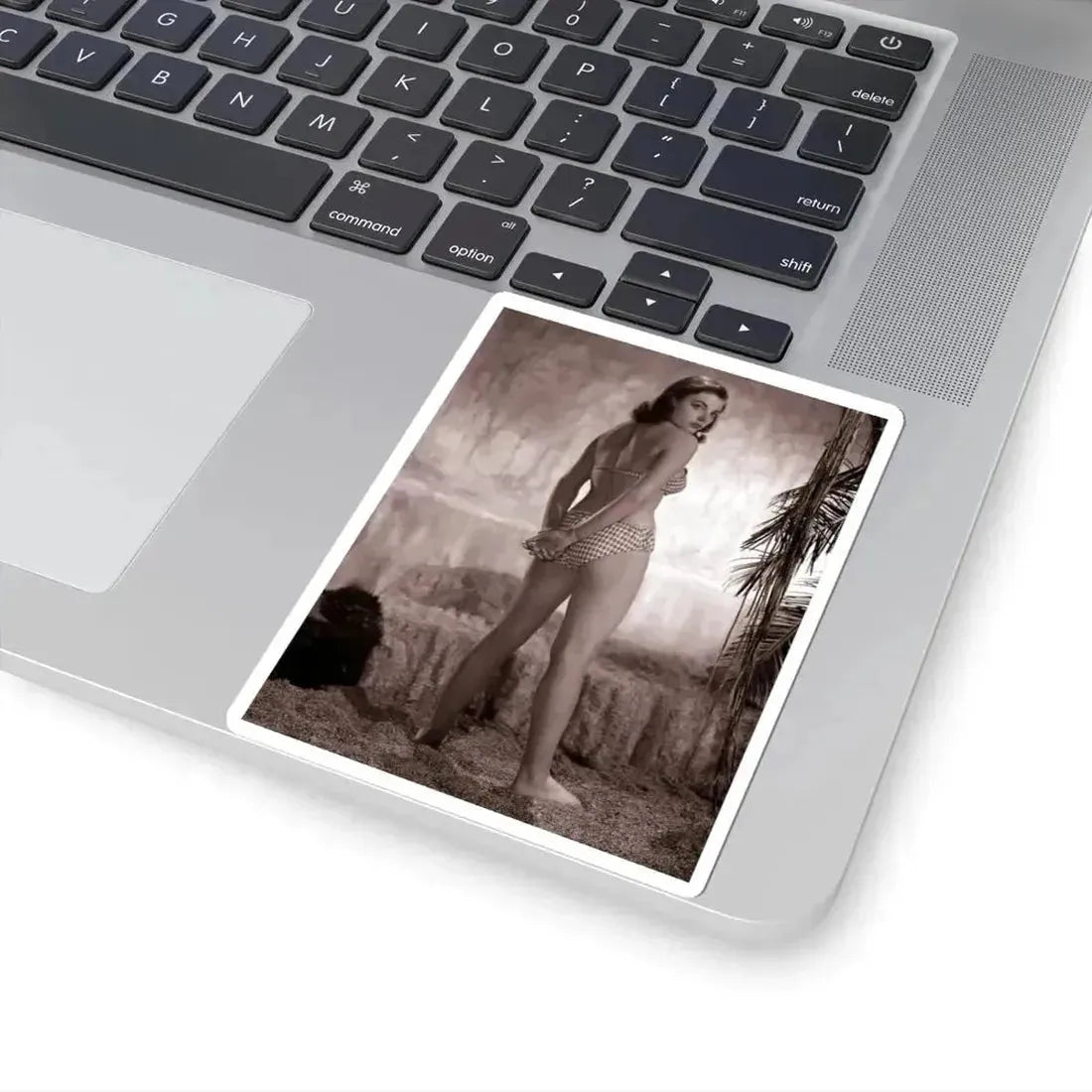 Joan Collins #559 (Vintage Female Icon) STICKER Vinyl Kiss-Cut Decal - The Sticker Space