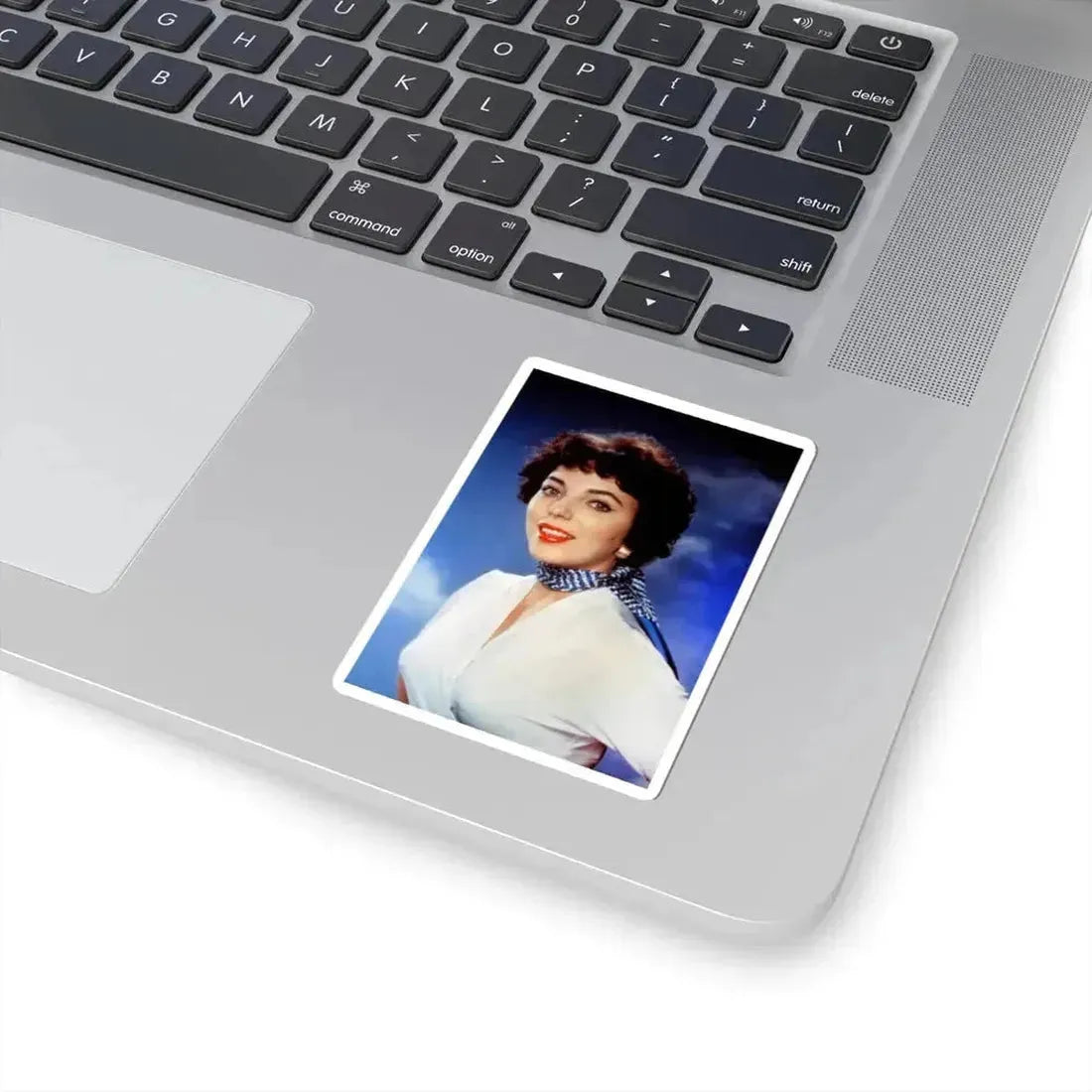 Joan Collins #564 (Vintage Female Icon) STICKER Vinyl Kiss-Cut Decal - The Sticker Space