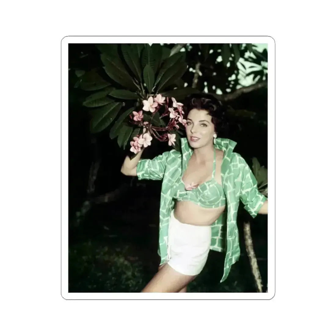 Joan Collins #568 (Vintage Female Icon) STICKER Vinyl Kiss-Cut Decal 2 Inch White - The Sticker Space