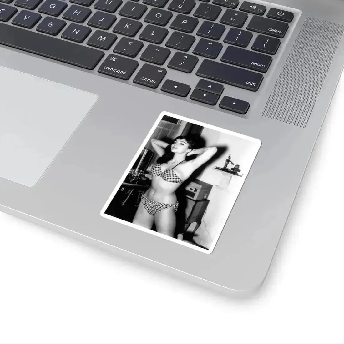 Joan Collins #576 (Vintage Female Icon) STICKER Vinyl Kiss-Cut Decal - The Sticker Space