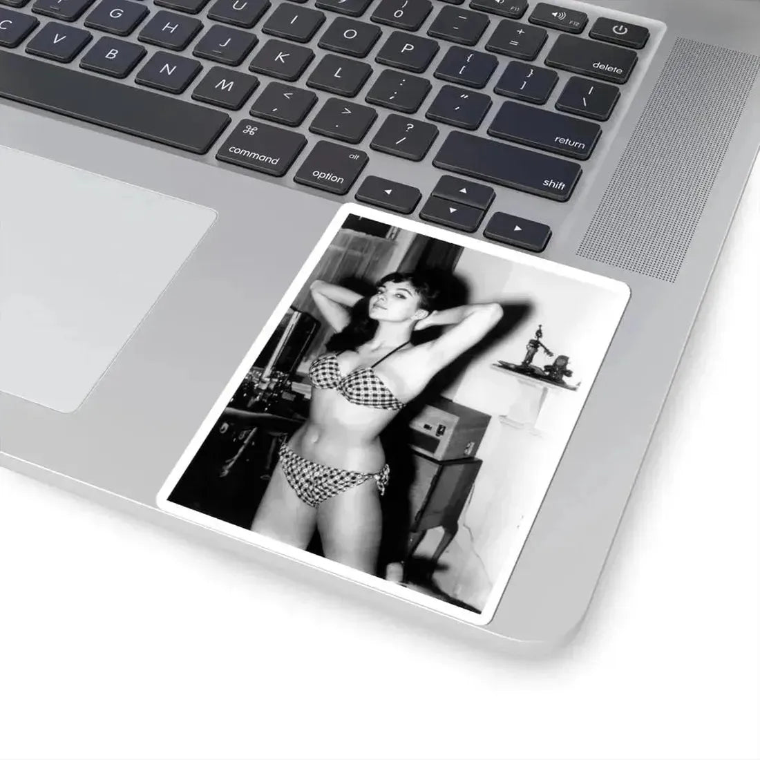 Joan Collins #576 (Vintage Female Icon) STICKER Vinyl Kiss-Cut Decal - The Sticker Space