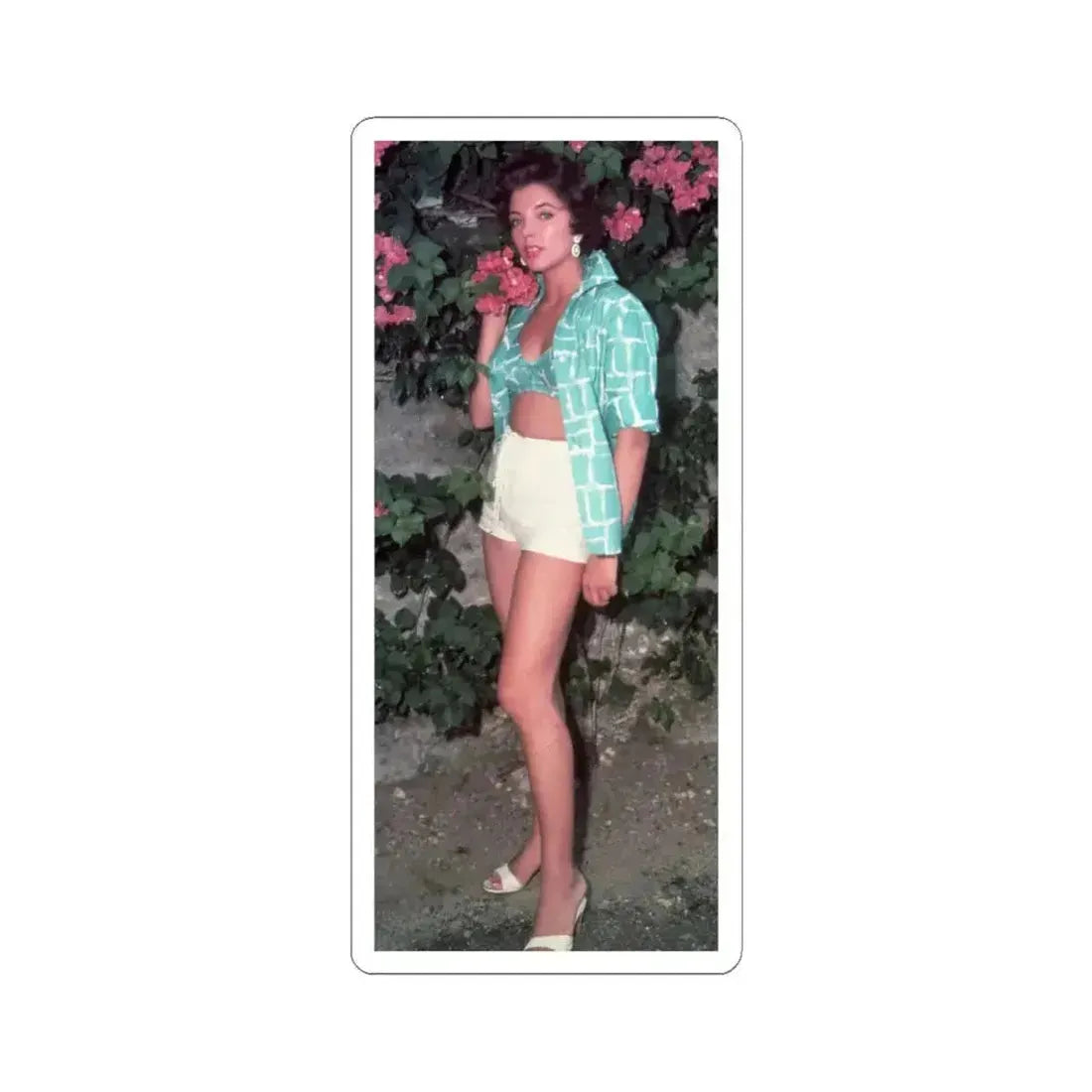Joan Collins #591 (Vintage Female Icon) STICKER Vinyl Kiss-Cut Decal 6 Inch White - The Sticker Space
