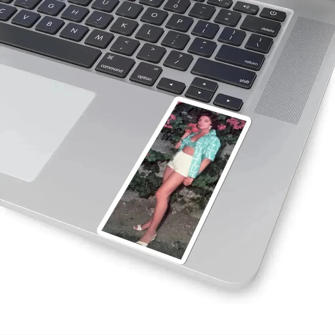 Joan Collins #591 (Vintage Female Icon) STICKER Vinyl Kiss-Cut Decal - The Sticker Space