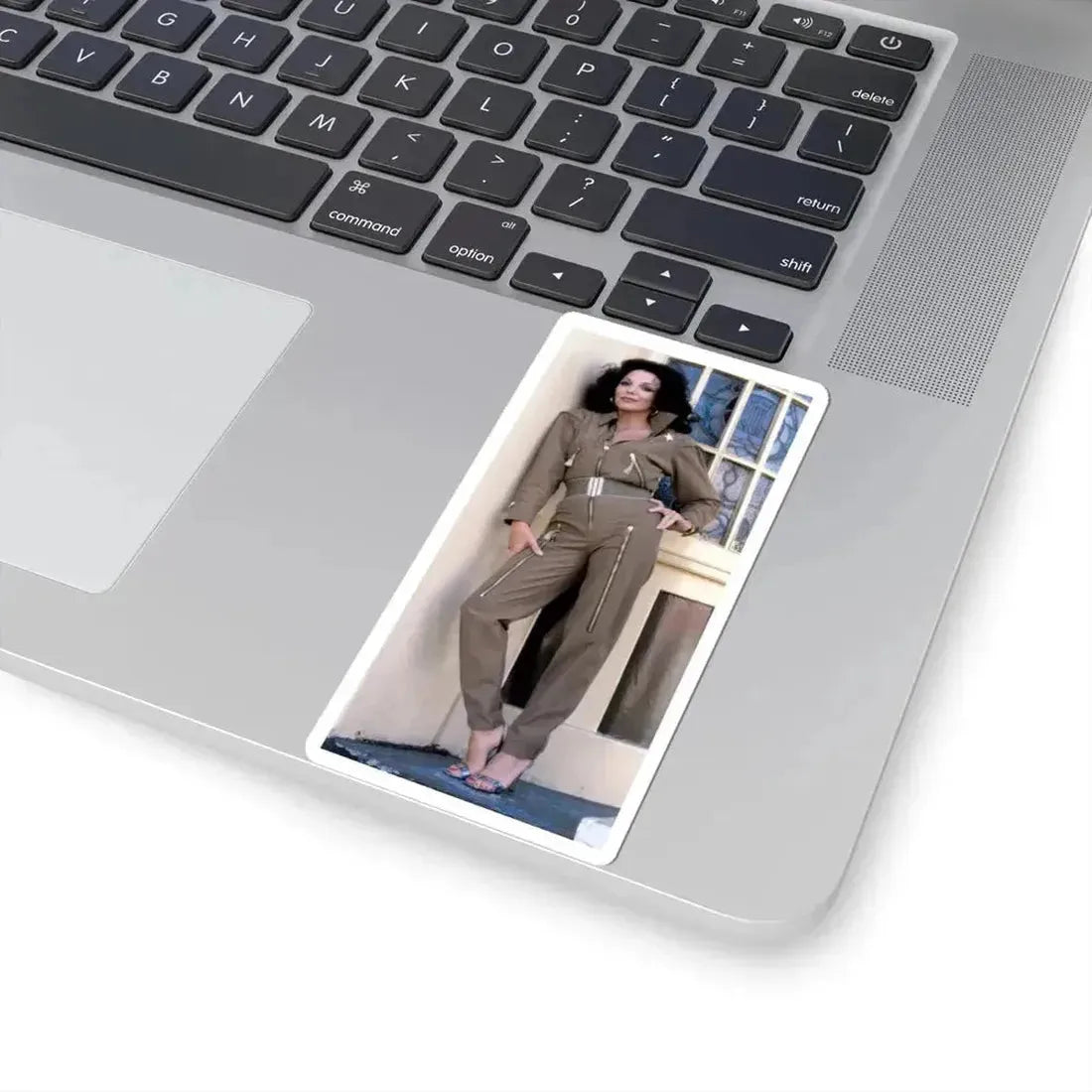Joan Collins #593 (Vintage Female Icon) STICKER Vinyl Kiss-Cut Decal - The Sticker Space