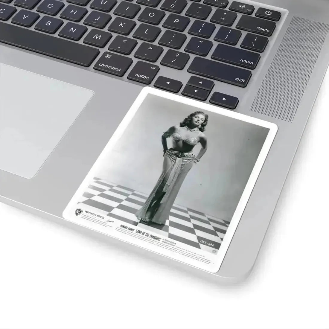 Joan Collins #619 (Vintage Female Icon) STICKER Vinyl Kiss-Cut Decal - The Sticker Space