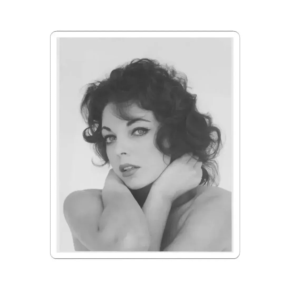 Joan Collins #627 (Vintage Female Icon) STICKER Vinyl Kiss-Cut Decal 2 Inch White - The Sticker Space