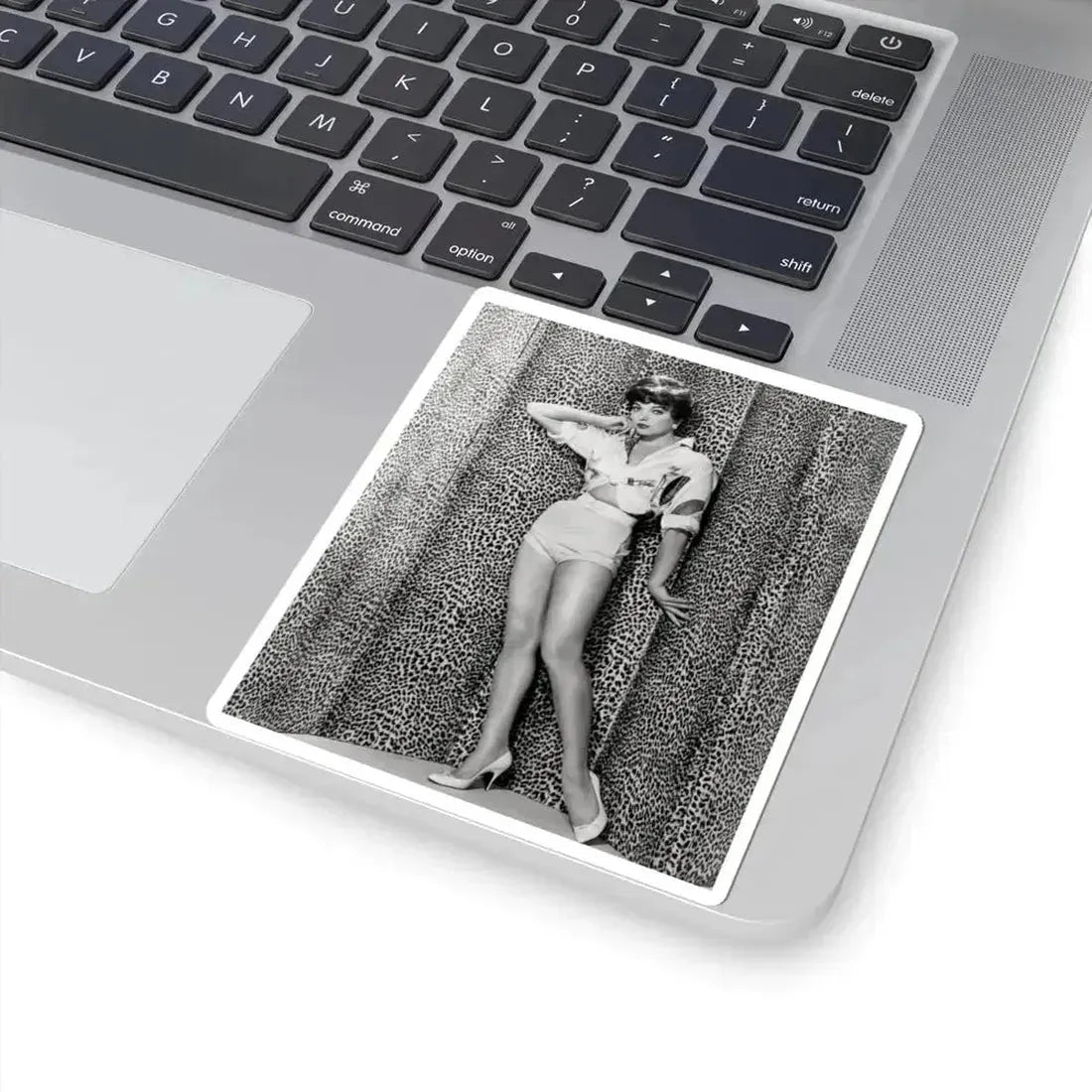 Joan Collins #630 (Vintage Female Icon) STICKER Vinyl Kiss-Cut Decal - The Sticker Space