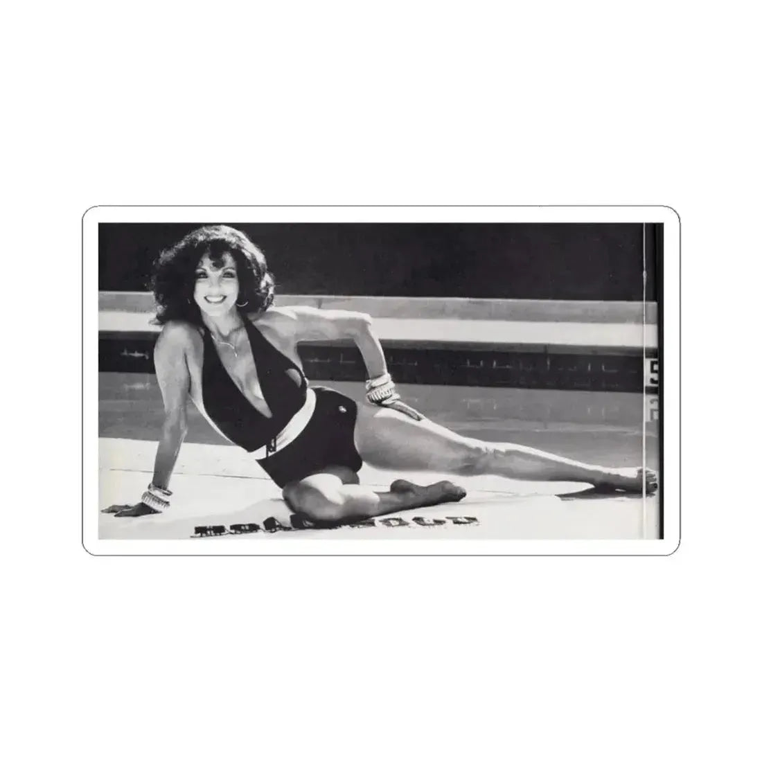 Joan Collins #636 (Vintage Female Icon) STICKER Vinyl Kiss-Cut Decal 3 Inch White - The Sticker Space