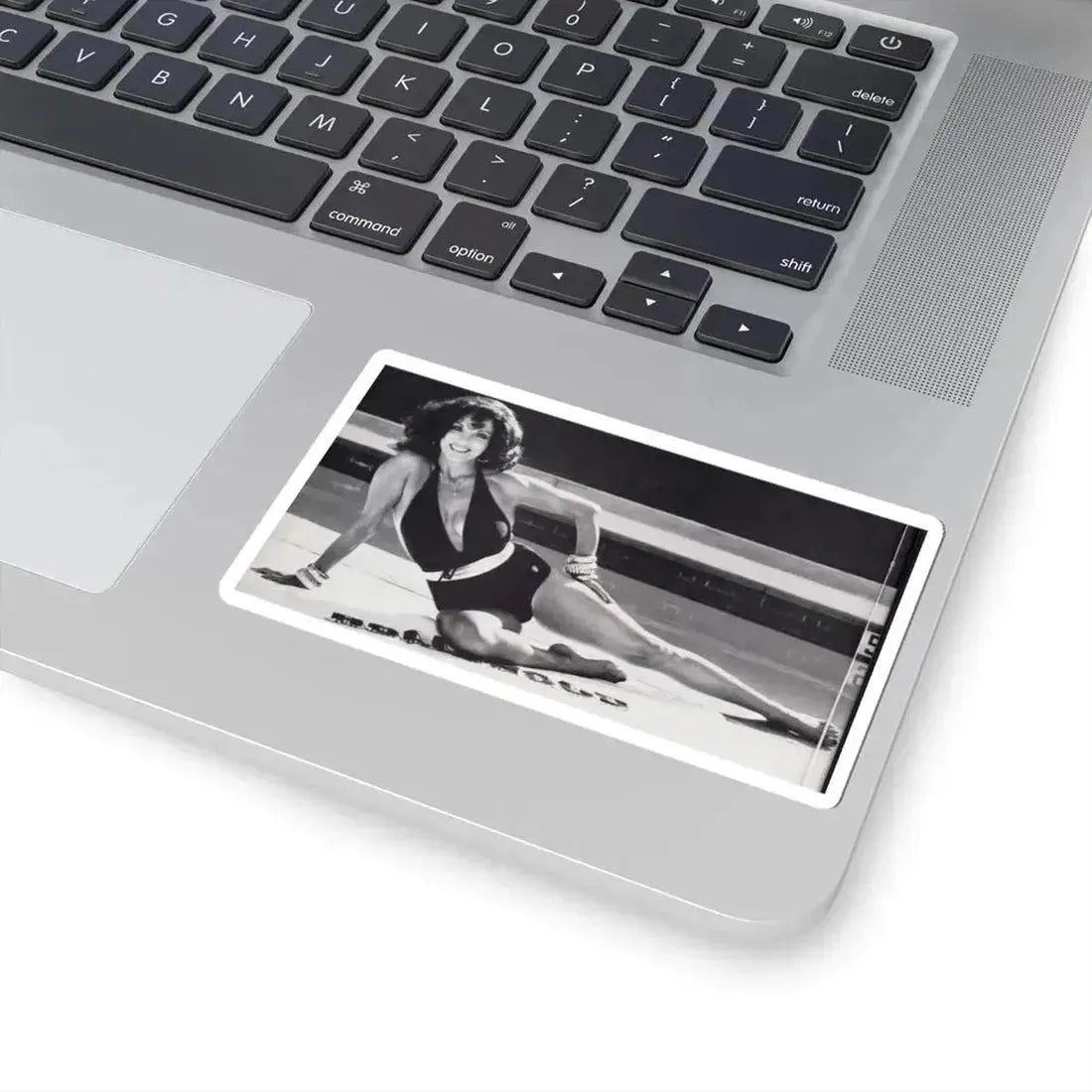 Joan Collins #636 (Vintage Female Icon) STICKER Vinyl Kiss-Cut Decal - The Sticker Space