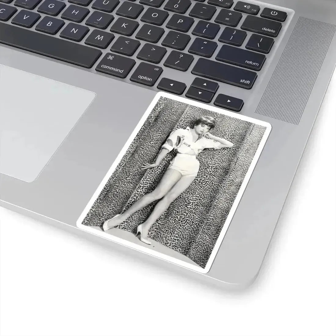 Joan Collins #637 (Vintage Female Icon) STICKER Vinyl Kiss-Cut Decal - The Sticker Space