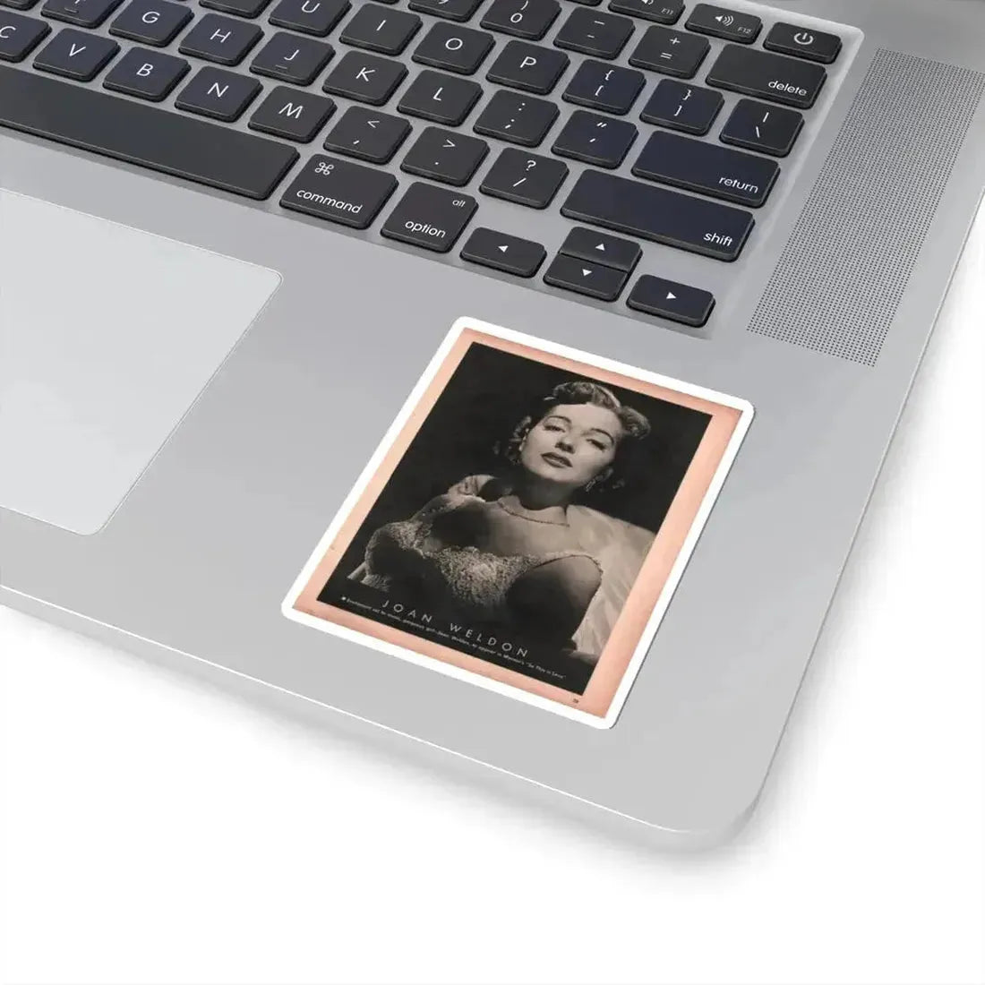 Joan Weldon #27 - 50's B&W 8.5x10.5 Era Mag. Glamour Photo (Vintage Female Icon) STICKER Vinyl Kiss-Cut Decal - The Sticker Space