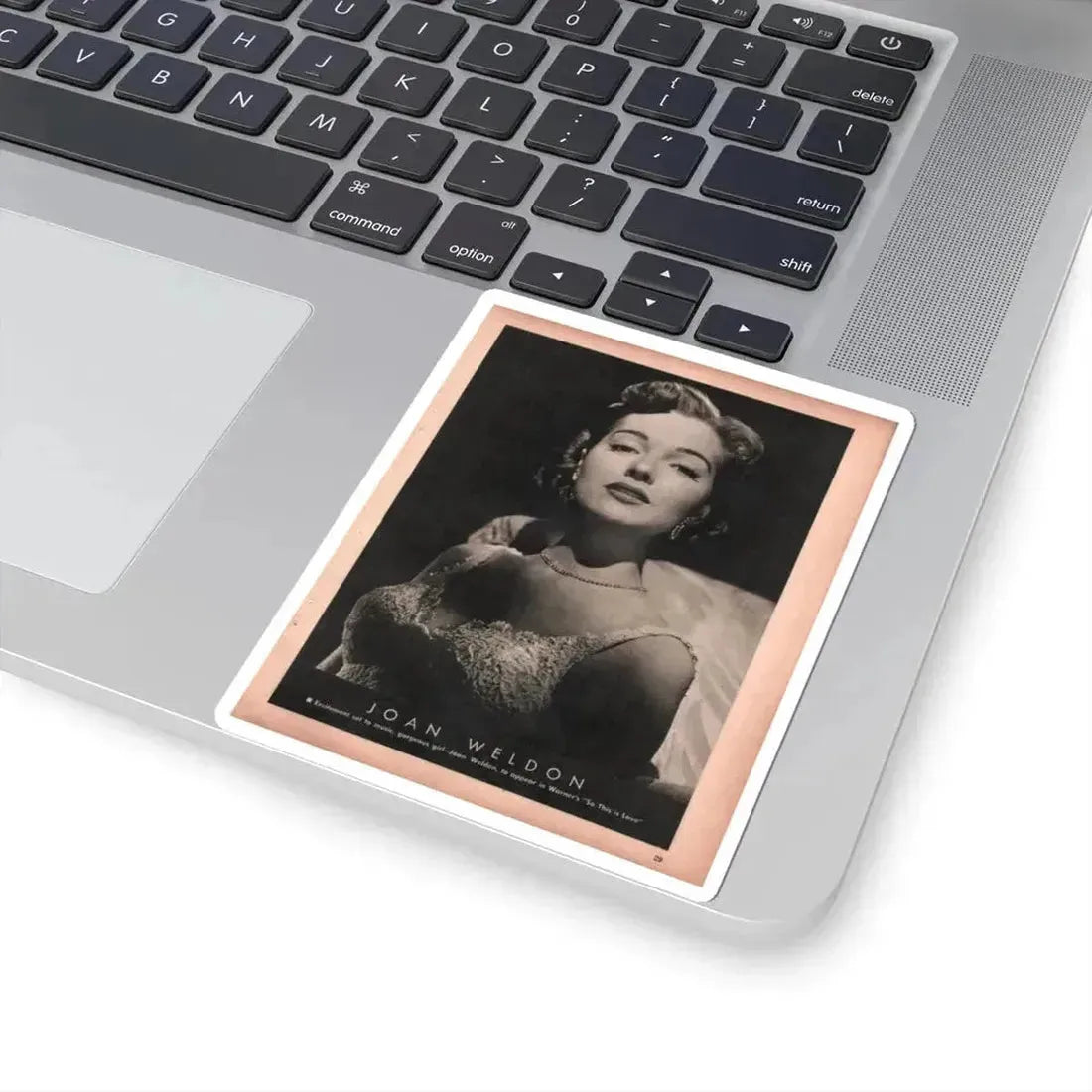 Joan Weldon #27 - 50's B&W 8.5x10.5 Era Mag. Glamour Photo (Vintage Female Icon) STICKER Vinyl Kiss-Cut Decal - The Sticker Space