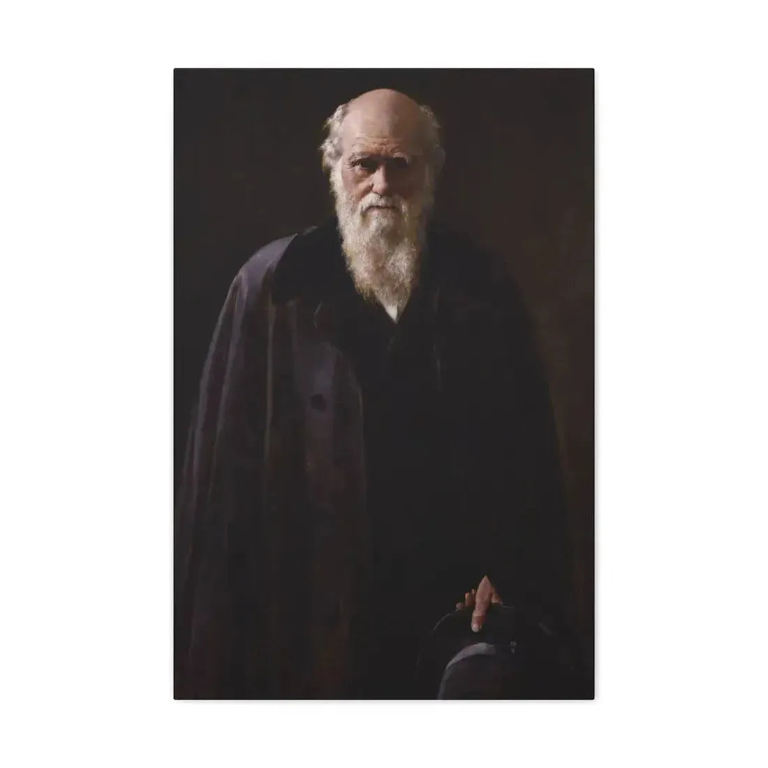 John Collier (1850-1934) Charles Robert Darwin - 1883 - Canvas Wall Art 20″ x 30″ 1.25" - The Sticker Space