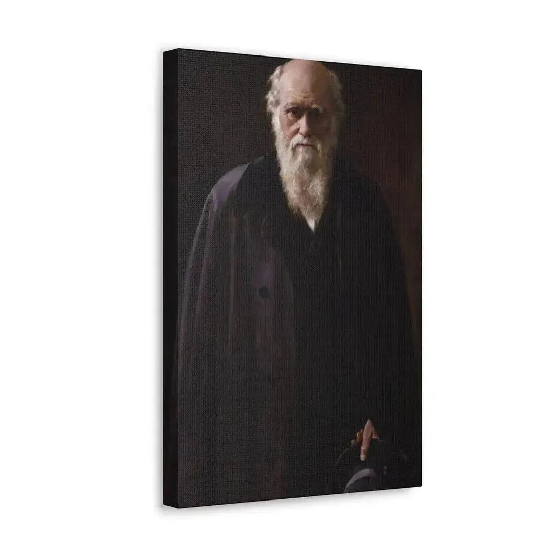 John Collier (1850-1934) Charles Robert Darwin - 1883 - Canvas Wall Art - The Sticker Space