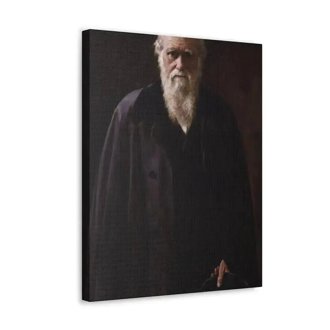 John Collier (1850-1934) Charles Robert Darwin - 1883 - Canvas Wall Art - The Sticker Space