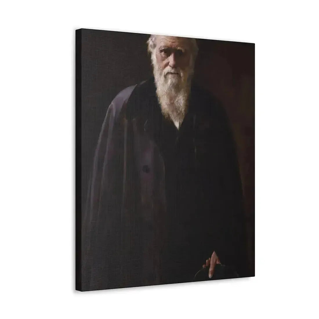 John Collier (1850-1934) Charles Robert Darwin - 1883 - Canvas Wall Art - The Sticker Space