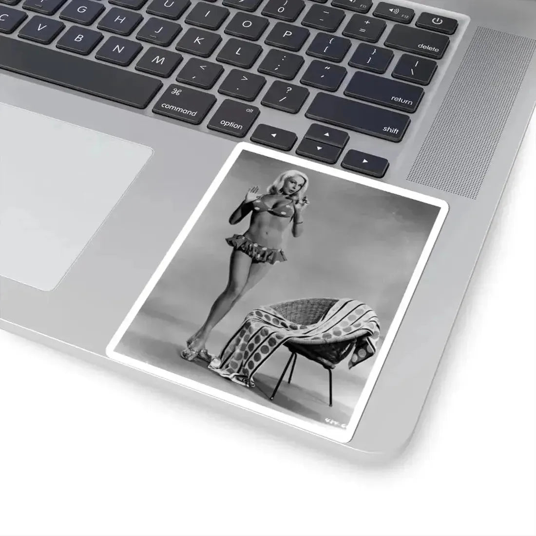 Joi Lansing #177 (Vintage Female Icon) STICKER Vinyl Kiss-Cut Decal - The Sticker Space