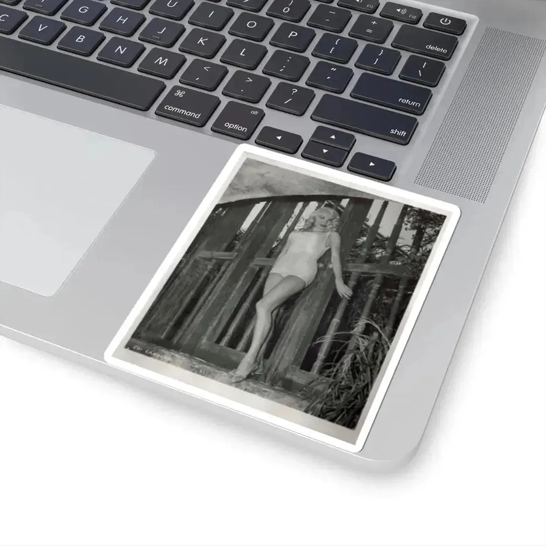 Joi Lansing #62 (Vintage Female Icon) STICKER Vinyl Kiss-Cut Decal - The Sticker Space