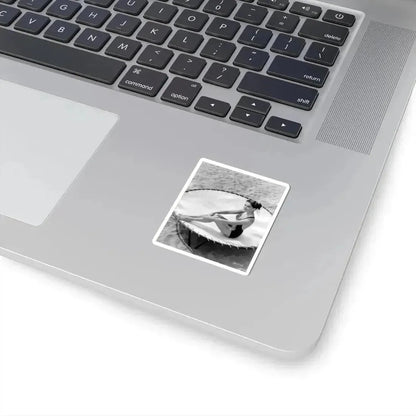 Julia Adams #113 (Vintage Female Icon) STICKER Vinyl Kiss-Cut Decal - The Sticker Space