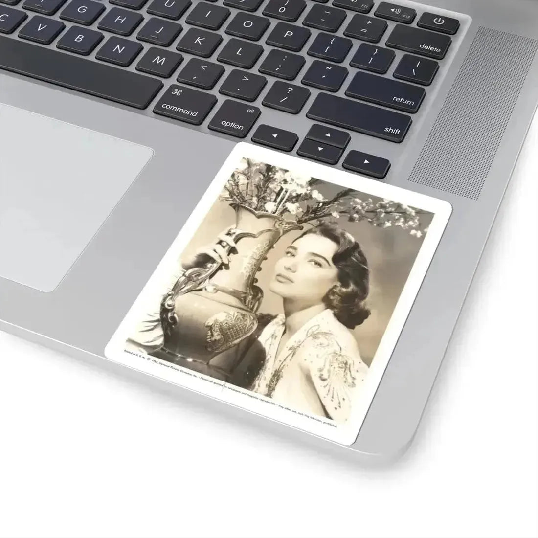 Julia Adams #115 (Vintage Female Icon) STICKER Vinyl Kiss-Cut Decal - The Sticker Space