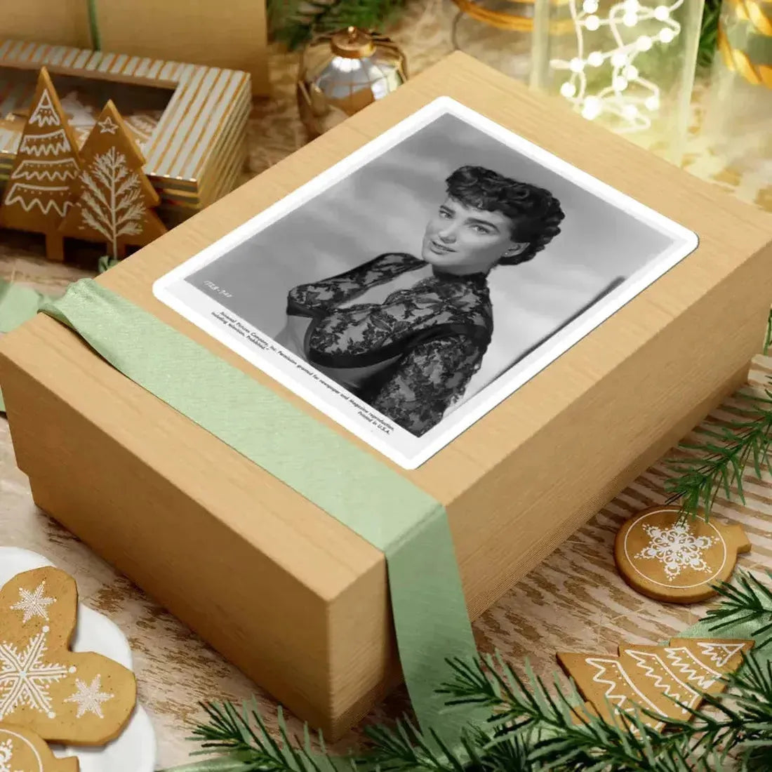 Julia Adams #119 (Vintage Female Icon) STICKER Vinyl Kiss-Cut Decal - The Sticker Space