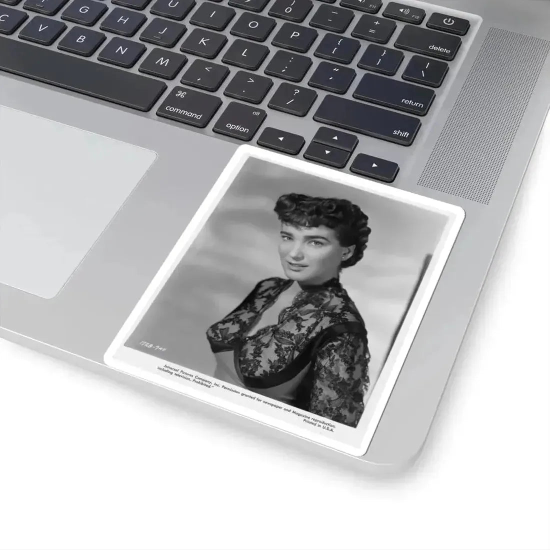 Julia Adams #119 (Vintage Female Icon) STICKER Vinyl Kiss-Cut Decal - The Sticker Space