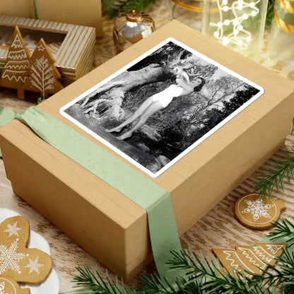 Julia Adams #31 (Vintage Female Icon) STICKER Vinyl Kiss-Cut Decal - The Sticker Space