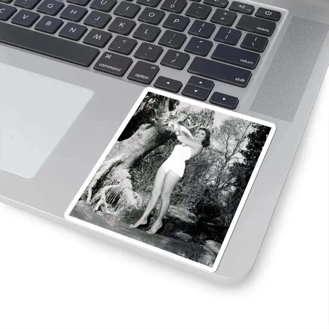 Julia Adams #31 (Vintage Female Icon) STICKER Vinyl Kiss-Cut Decal - The Sticker Space