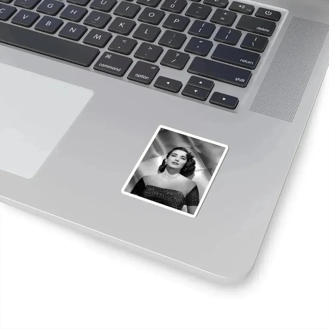 Julia Adams #36 (Vintage Female Icon) STICKER Vinyl Kiss-Cut Decal - The Sticker Space