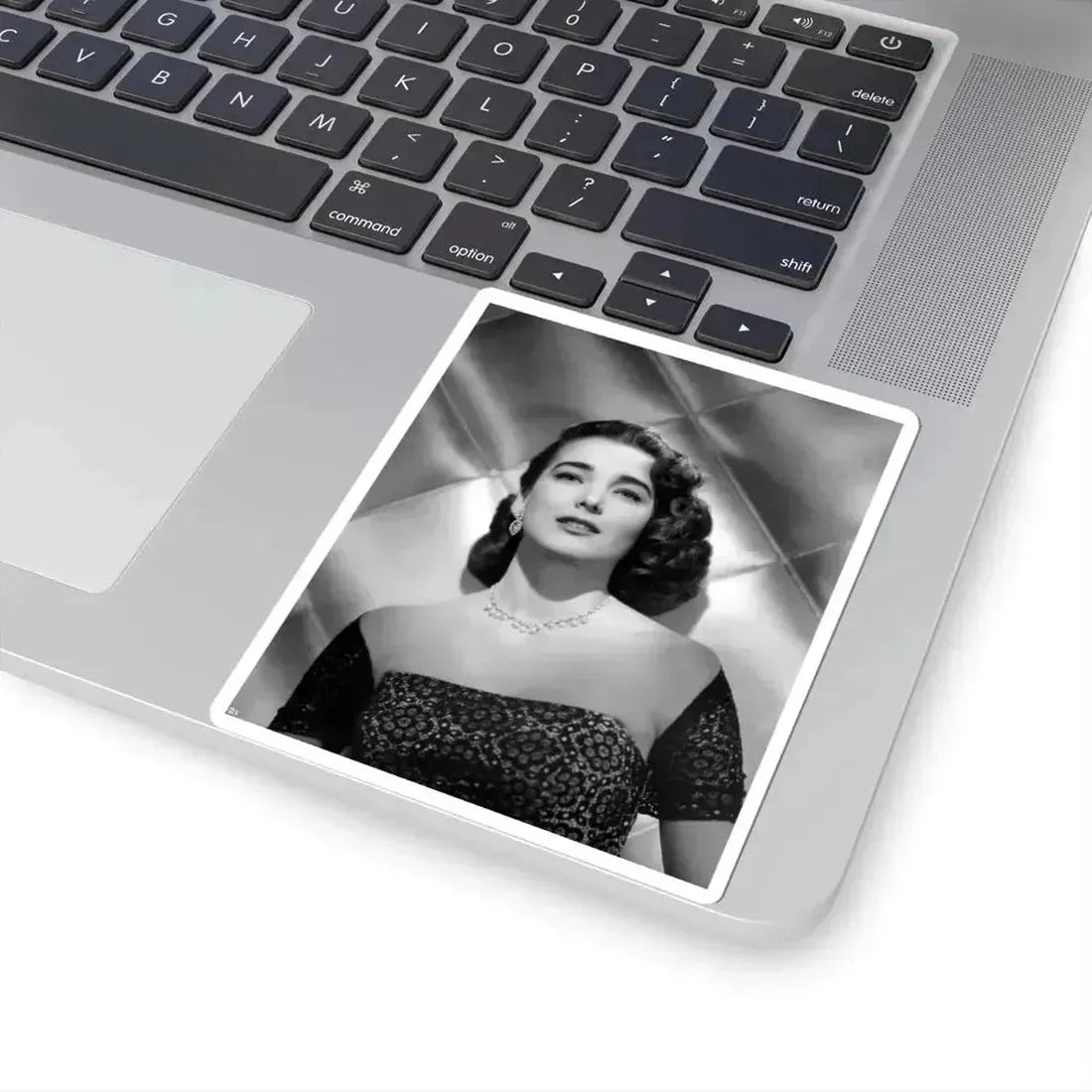 Julia Adams #36 (Vintage Female Icon) STICKER Vinyl Kiss-Cut Decal - The Sticker Space