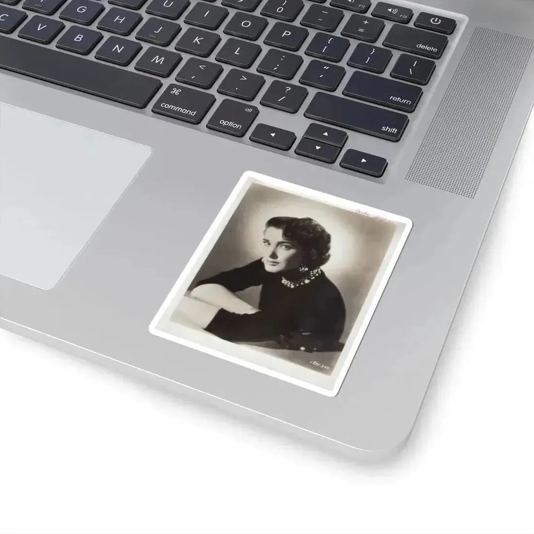 Julia Adams #53 (Vintage Female Icon) STICKER Vinyl Kiss-Cut Decal - The Sticker Space