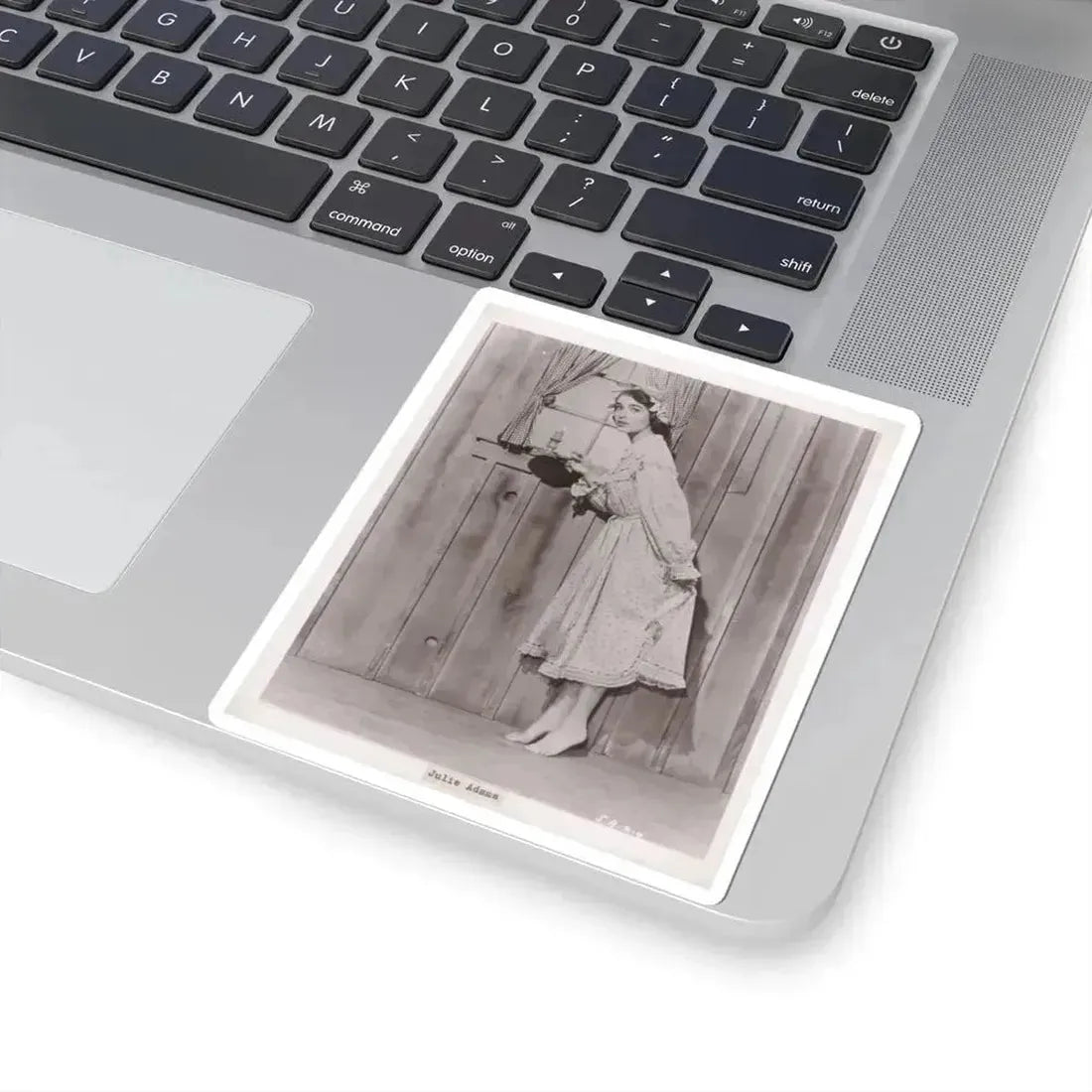 Julia Adams #69 (Vintage Female Icon) STICKER Vinyl Kiss-Cut Decal - The Sticker Space