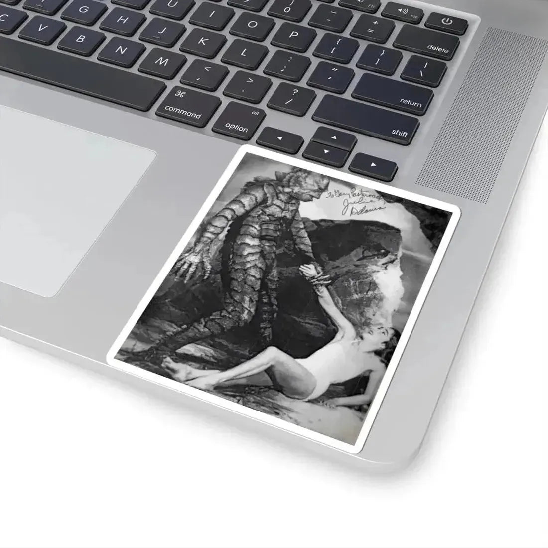 Julia Adams #79 (Vintage Female Icon) STICKER Vinyl Kiss-Cut Decal - The Sticker Space