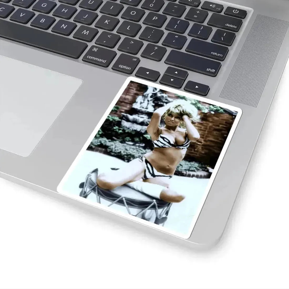 Julie Ege #100 (Vintage Female Icon) STICKER Vinyl Kiss-Cut Decal - The Sticker Space