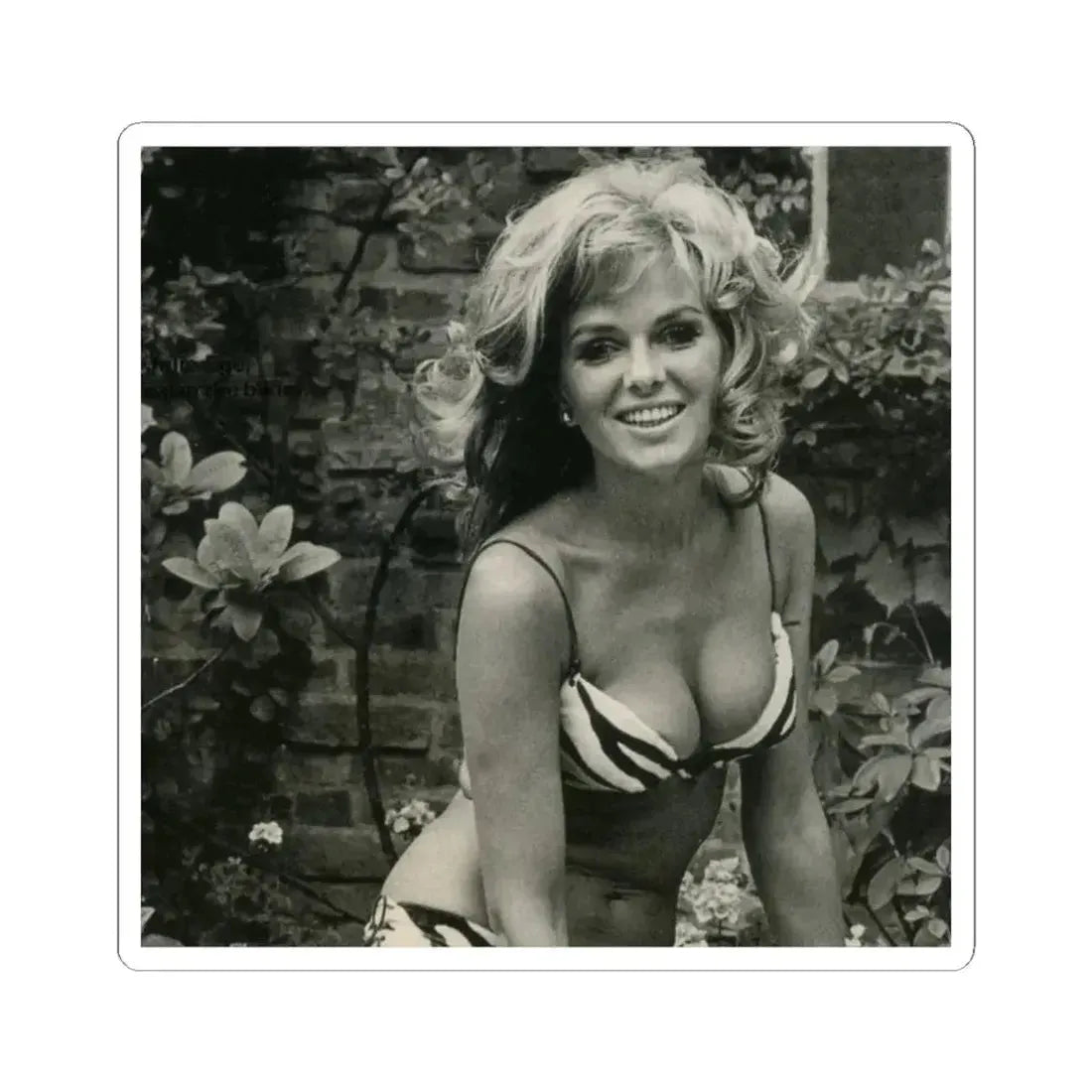 Julie Ege #104 (Vintage Female Icon) STICKER Vinyl Kiss-Cut Decal 2 Inch White - The Sticker Space